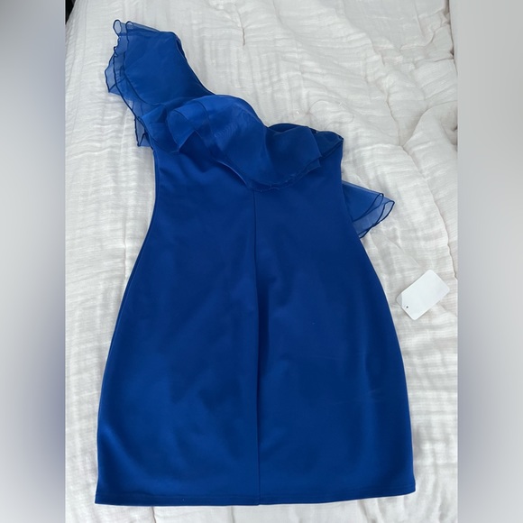 Organza One Shoulder Ruffle Mini Dress - Picture 3 of 6